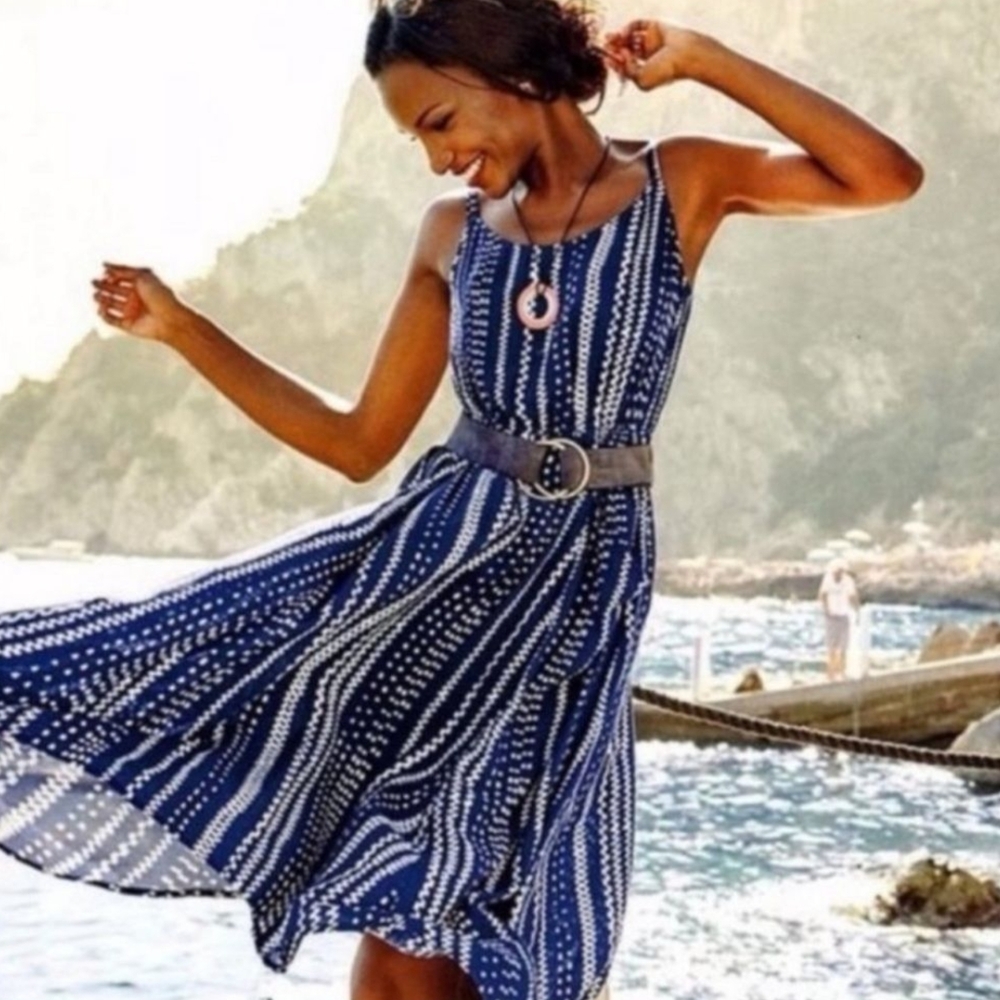 CAbi Navy and White Midi Dress